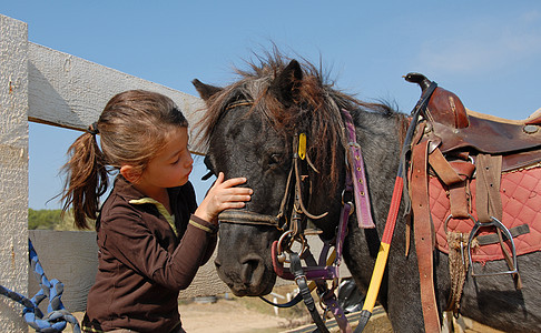 小女孩和谢特曼女孩爱抚朋友白色黑色水龙头运动友谊骑术动物图片