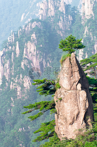 黄山山峰旅游山脉顶峰国家旅行风景薄雾假期勘探悬崖图片