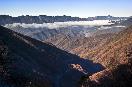 中国湖北申农家山地貌树木山脉旅游森林松树图片