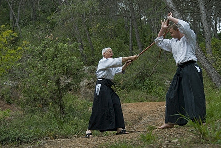 Aikido 师资培训成人运动专注森林操作训练格斗瞳孔男人说明背景图片