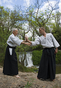 Aikido 师资培训瀑布操作男人成人说明瞳孔武士运动格斗训练背景图片