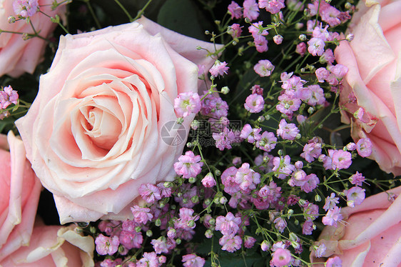 花朵安排中的大粉红玫瑰紫色粉色植物学花店植物绿色植物群花瓣花束图片