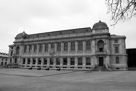 巴黎自然博物馆Paris花园建筑学植物纪念碑动物学旅游旅行历史博物馆画廊图片