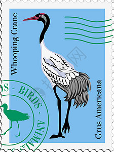 带有鸟形图象的印章邮票森林荒野野生动物办公室互联网边界横幅旗帜背景图片