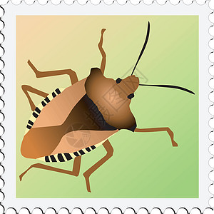 带有甲虫图象的印章边界旗帜森林互联网邮票昆虫荒野野生动物办公室横幅背景图片