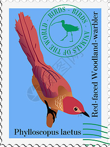 带有鸟形图象的印章边界横幅森林荒野野生动物办公室邮票旗帜互联网背景图片