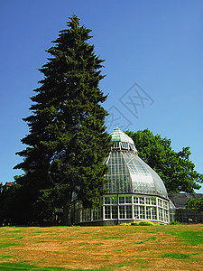 保存所花园植物学生长绿色公园窗户玻璃建筑草地植物图片