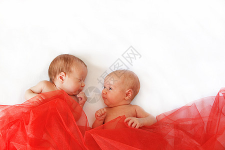 双胞胎工作室新生儿女孩们姐妹白色兄弟面纱婴儿童年孩子们图片