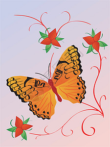 带有蝴蝶的抽象构成背景纹理花卉装饰品图案框架背景图片