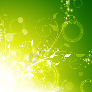 花卉背景绿色装饰曲线枝条装饰品漩涡植物插图园艺叶子图片