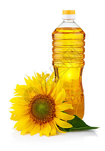 白花孤立的向日葵油瓶子图片