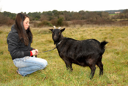 少年和山羊皮带草地乡村女孩衣领场地宠物动物黑色农场图片