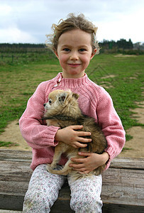儿童及吉娃娃人金发棕色白色动物犬类友谊微笑女孩孩子宠物图片