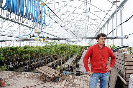 工人园艺花园苗圃园丁植物花店农民植物群绿色工作图片