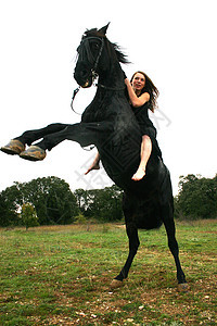 养马青少年盛装天空蓝色头盔骑马运动女士动物危险图片