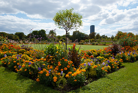 正式花园衬套国际下方花坛小径个人省会城市阳光公园图片