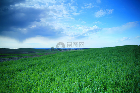 绿野场地风暴天空危险雷雨天气图片