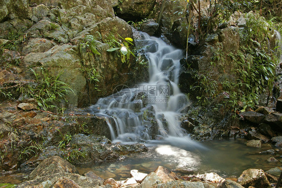 森林的瀑布叶子太阳国家石头热带岩石旅行环境公园溪流图片
