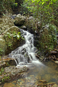 森林中的水流荒野流动太阳国家运动石头岩石瀑布旅行叶子图片
