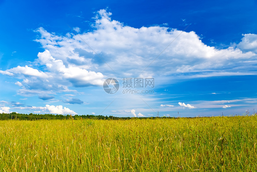 夏季外地场地天空白色地平线绿色阳光晴天天气植物黄色图片