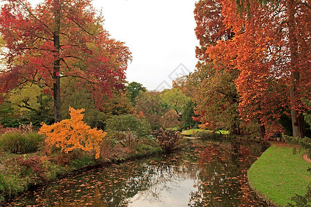 秋季风景红色空气反射黄色孤独青铜植被图片