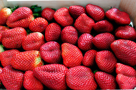 新鲜草莓沙拉宏观生态浆果小吃茶点食物墙纸种子水果图片