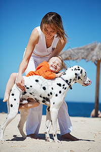 家庭在海滩上女孩团体童年友谊乐趣母亲动物婴儿女士闲暇图片