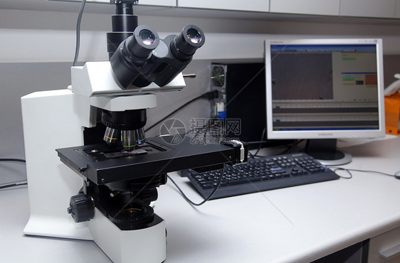 实验室显微镜生活蓝色技术微生物学科学家实验教育学习大学临床图片