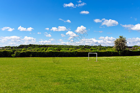 足球场白色娱乐蓝色绿色团队森林运动游戏天空场地背景图片