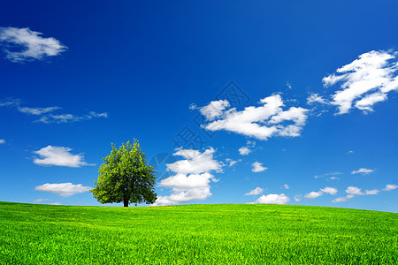 绿色景观生活场地太阳天空孤独草地地平线国家农场季节图片
