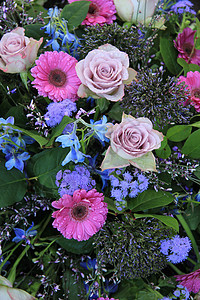 紫玫瑰和粉红色梅花紫色花瓣粉色绿色花朵植物群植物学花店花束植物图片