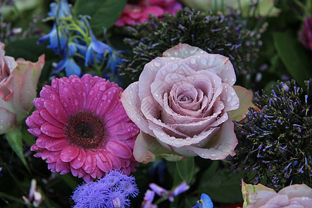 紫玫瑰和粉红色梅花阵雨玫瑰植物学粉色花店水滴花瓣花束绿色植物图片