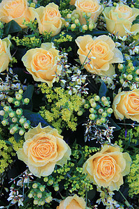 黄玫瑰花束花瓣植物群植物花朵绿色花店植物学黄色图片