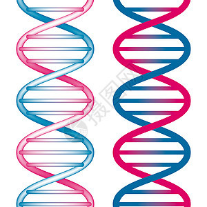 无缝DNA生物学红色生活医学光栅化分子保健生物医疗绘画图片