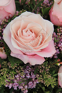粉红玫瑰紫色花店花朵绿色花束植物植物群宏观花瓣植物学图片