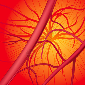 血液血系统医疗器官绘画光栅化血管医学插图红色循环保健图片