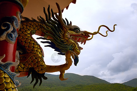 德拉科 龙寺庙雕塑喜庆传统金子柱子狮子祷告节日宗教图片