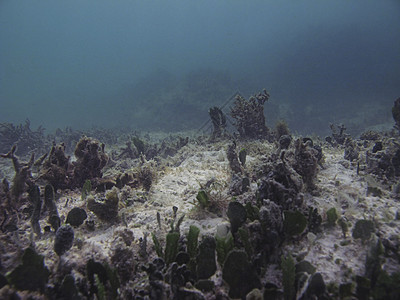 海床图片