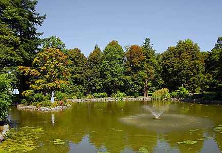 在公园中散步季节性橙子绿地灌木喷泉水池池塘黄色艺术品雕塑图片