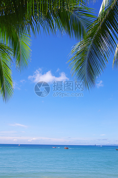 海 海蓝色冲浪海浪假期热带海景太阳天堂支撑放松图片