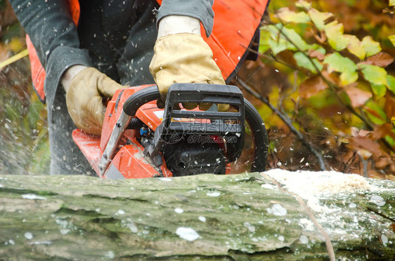 伐木工人和林木工人安全木头樵夫成年人工具木材链锯男性职业图片
