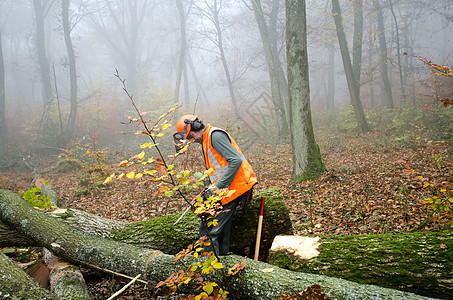 伐木工人和林木头盔伐木工木头安全森林工作链锯樵夫林业木材图片