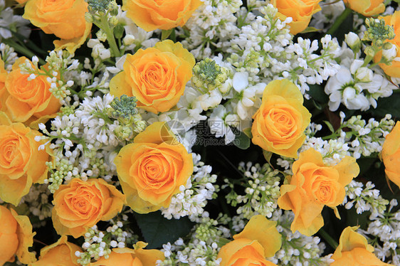 黄玫瑰花束花朵花店植物玫瑰植物学黄色植物群花瓣绿色图片