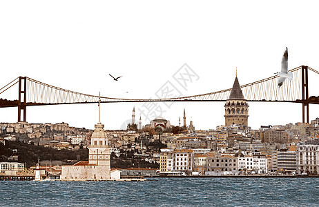 伊斯坦布尔背景很深的图片 笑声海鸥码头少女海峡血管加拉塔飞秒旅行港口城市图片