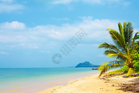 热带热带海滩假期支撑娱乐海岸太阳沿海旅行天堂水晶天空图片