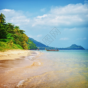 热带热带海滩水晶天空天堂支撑正方形假期椰子丛林蓝色太阳图片