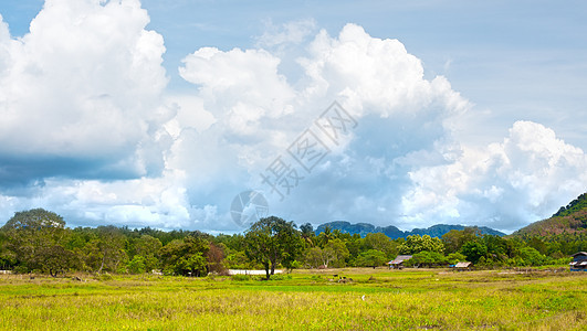 泰国风景照片热带国家场景季节阳光叶子草地农村全景图片