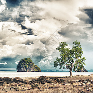 泰国风景戏剧性支撑蓝色叶子旅行正方形架子风暴海岸海洋图片