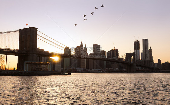 布鲁克林桥通向下曼哈顿建筑学跨度鸟类天空市中心城市全景地标耀斑景观图片