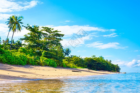 热带热带海滩天堂沿海蓝色旅游森林地平线照片晴天支撑天蓝色图片